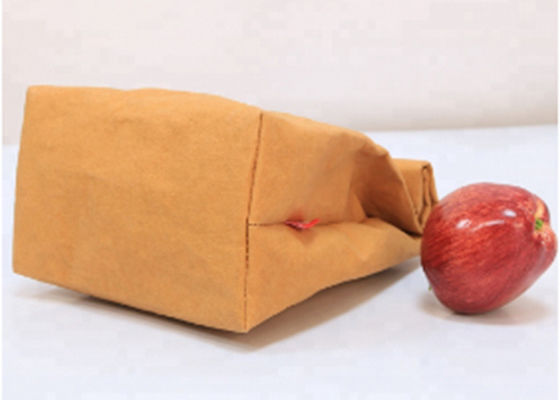 Reusable Insulated Lunch Cooler Bag Washable Kraft Paper Snack And Sandwich Bags