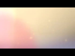 el ordenador portátil lleva el bolso